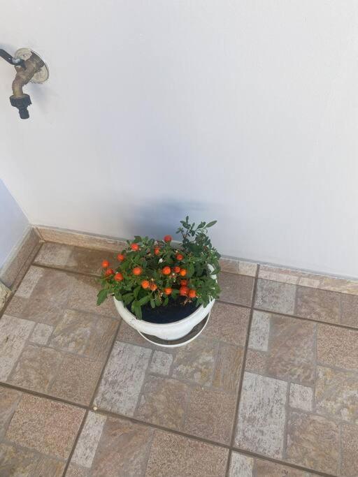 New Lovely Apartment In Heraklion Exterior photo
