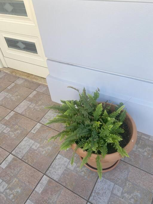 New Lovely Apartment In Heraklion Exterior photo